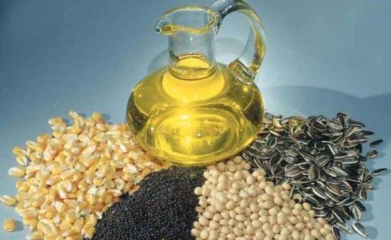 USDA прогнозирует увеличение мирового производства масличных культур - agroexpert.md