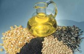 USDA прогнозирует увеличение мирового производства масличных культур - agroexpert.md