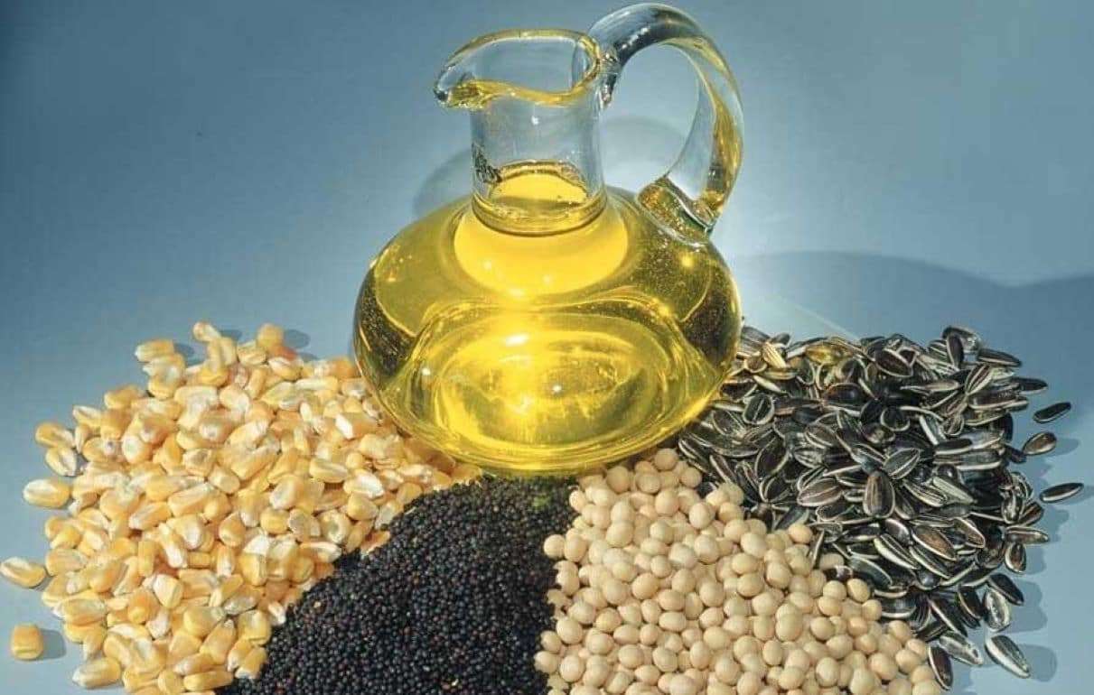 USDA прогнозирует увеличение мирового производства масличных культур - agroexpert.md