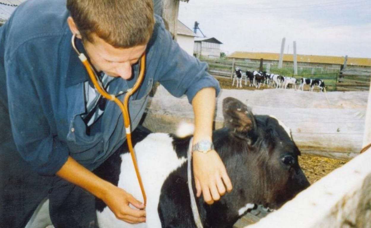 Лишь 18 человек воспользовались госпрограммой поддержки ветеринаров - agroexpert.md