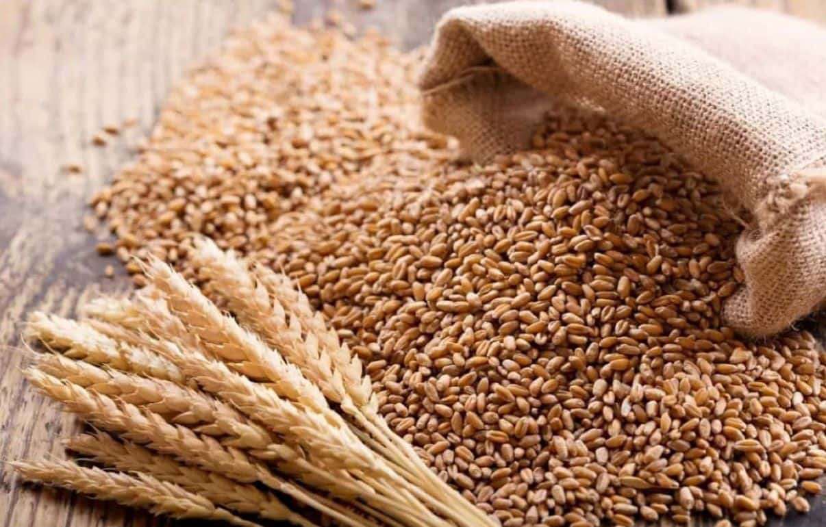 Экспорт зерновых и масел из Молдовы резко сократился в первом квартале - agroexpert.md