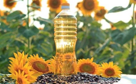 Scad exporturile de ulei de floarea-soarelui - agroexpert.md
