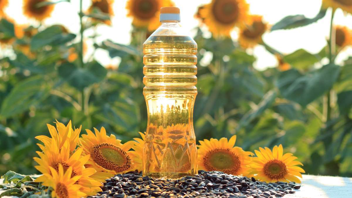 Scad exporturile de ulei de floarea-soarelui - agroexpert.md