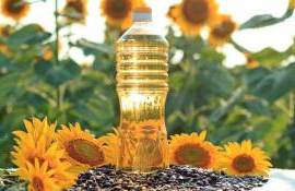 Fără materie primă, fără procesare: Scad exporturile de ulei de floarea-soarelui