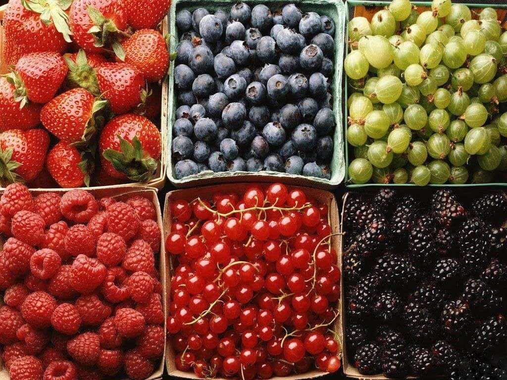 limite drastice pentru reziduurile de acetamiprid - agroexpert.md