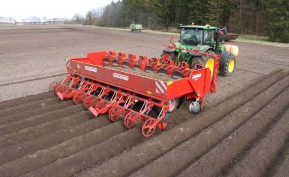 Картофелеводы в Европе ожидают дождей и раннего урожая - agroexpert.md