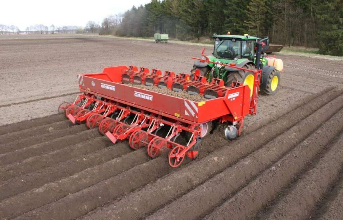 Картофелеводы в Европе ожидают дождей и раннего урожая - agroexpert.md