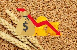 На бирже в Европе цена сентябрьских контрактов на пшеницу упала на 0,7 % - agroexpert.md