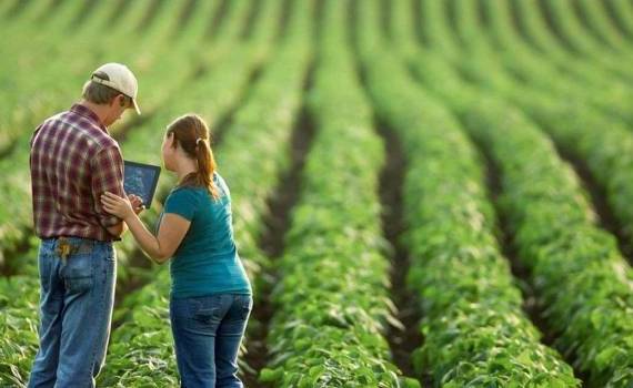 agricultori susținuți de IFAD în 2024 - AGROEXPERT.MD