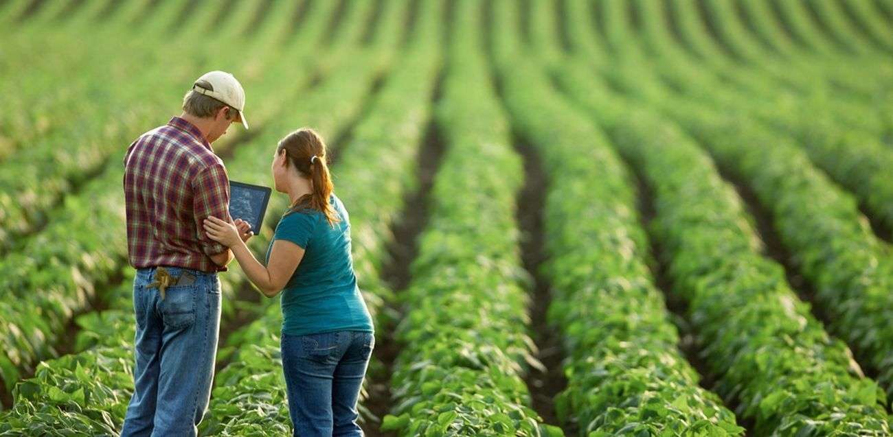 agricultori susținuți de IFAD în 2024 - AGROEXPERT.MD