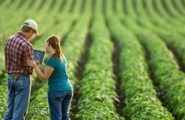 agricultori susținuți de IFAD în 2024 - AGROEXPERT.MD