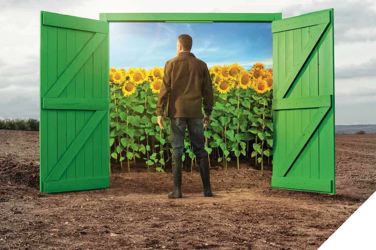 HELIANTHEX™– Soluția nr. 1 contra buruienilor - agroexpert.md