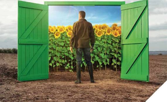 HELIANTHEX™– Soluția nr. 1 contra buruienilor - agroexpert.md
