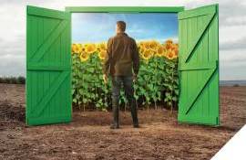 HELIANTHEX™– Soluția nr. 1 contra buruienilor - agroexpert.md