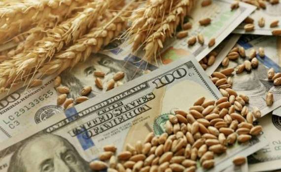 Мировой рынок зерна: пшеница резко подорожала, кукуруза и соя тоже росли - agroexpert.md