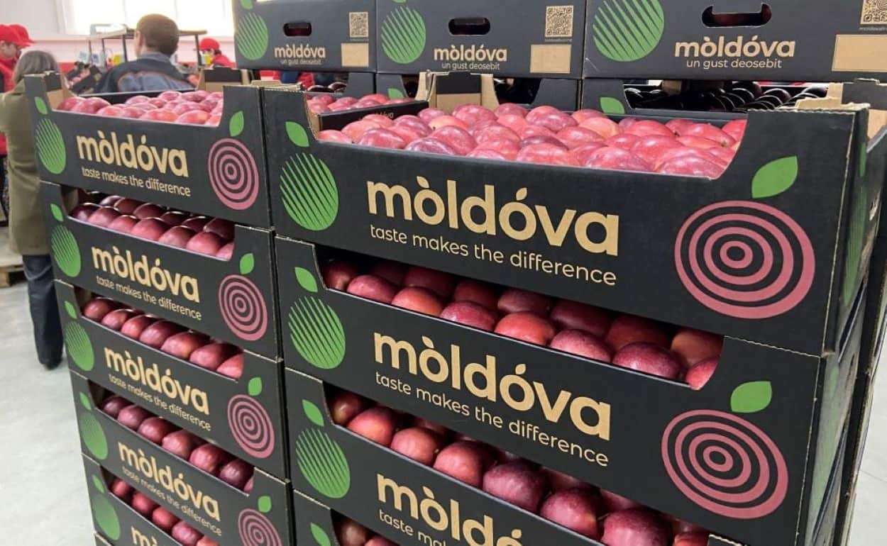 Выгодный период для экспорта молдавского яблока в Юго-Восточную Азию - agroexpert.md