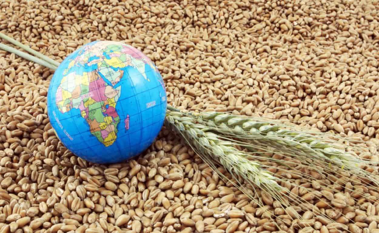 Экспертные прогнозы мирового производства зерна на 2025/26 МГ увеличились - agroexpert.md
