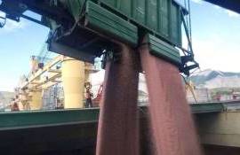 Страны-лидеры по экспорту удобрений в 2024 году - agroexpert.md