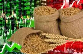 Мировой рынок зерна: в четверг пшеница подешевела, а соя подорожала - agroexpert.md