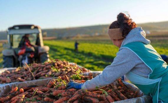 Nistrul de Jos – un an de cooperare și dezvoltare a clusterului - agroexpert.md