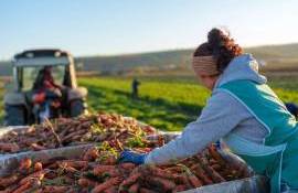 Nistrul de Jos – un an de cooperare și dezvoltare a clusterului - agroexpert.md