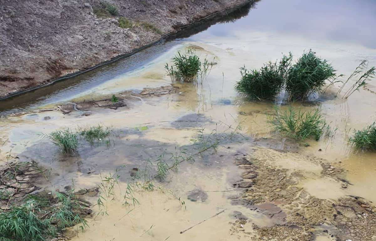 Фермеры Гагаузии остаются без воды: водоемы пересыхают, им нужен уход - agroexpert.md