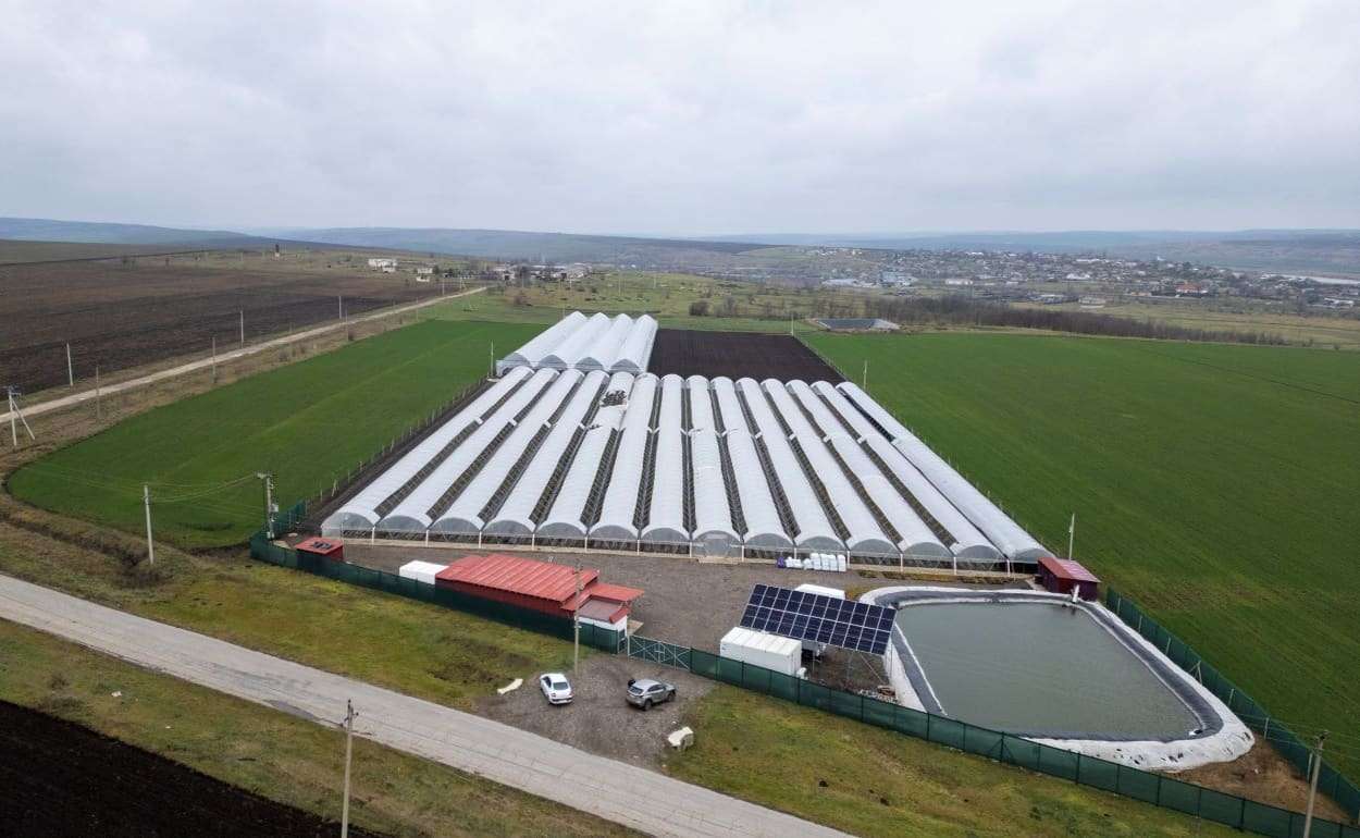 Фермер из Комрата построил «умную» теплицу за 1,6 млн леев - agroexpert.md