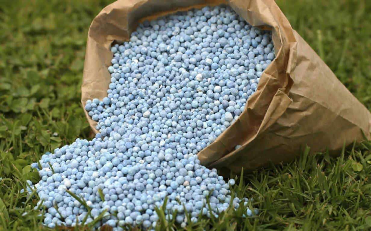 Новые тарифы ЕС меняют мировую торговлю удобрениями - agroexpert.md