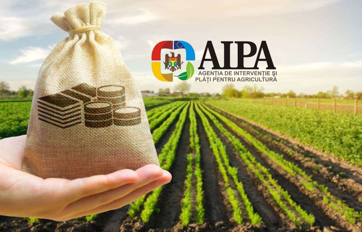 AIPA выплатила более 52 млн леев субсидий - agroexpert.md