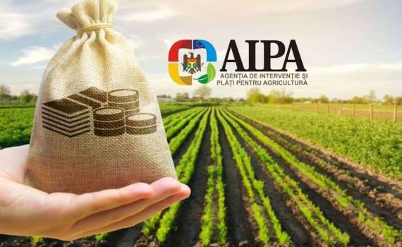AIPA выплатила более 52 млн леев субсидий - agroexpert.md