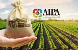 AIPA выплатила более 52 млн леев субсидий - agroexpert.md