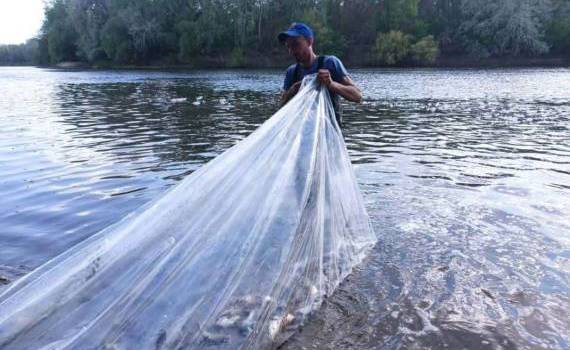 В водоемы Приднестровья выпустили более полумиллиона годовиков рыбы - agroexpert.md