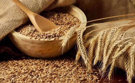 Экспортный спрос на украинские зерновые замер в ожидании нового урожая - agroexpert.md