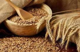 Экспортный спрос на украинские зерновые замер в ожидании нового урожая - agroexpert.md