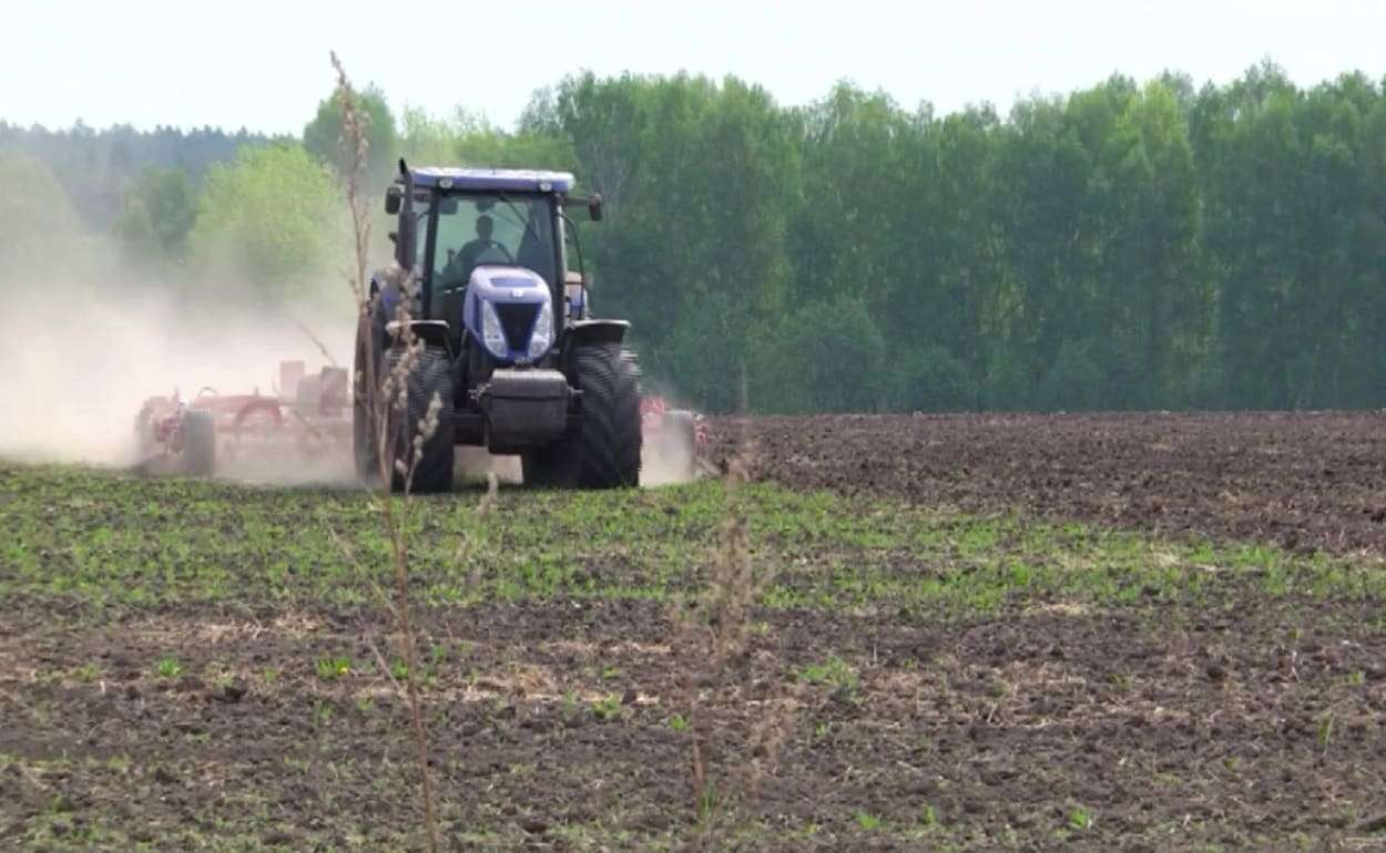 Фермеры с землями в Приднестровье получат компенсации от властей - agroexpert.,md
