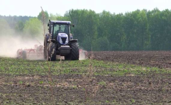 Фермеры с землями в Приднестровье получат компенсации от властей - agroexpert.,md