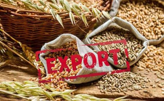 Молдова включена в список основных импортеров Украины - agroexpert.md