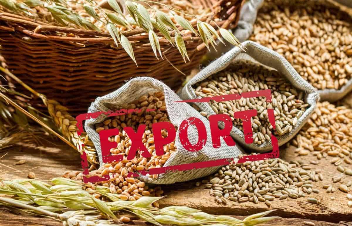 Молдова включена в список основных импортеров Украины - agroexpert.md
