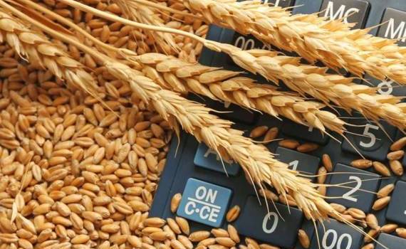 Мировой рынок зерна: пшеница и соя подорожали, кукуруза подешевела - agroexpert.md