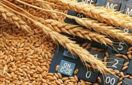 Мировой рынок зерна: пшеница и соя подорожали, кукуруза подешевела - agroexpert.md