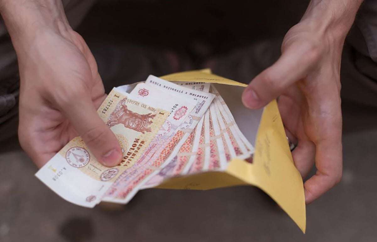 Средняя зарплата в сельском хозяйстве Молдовы составила 9 244 лея - agroexpert.md