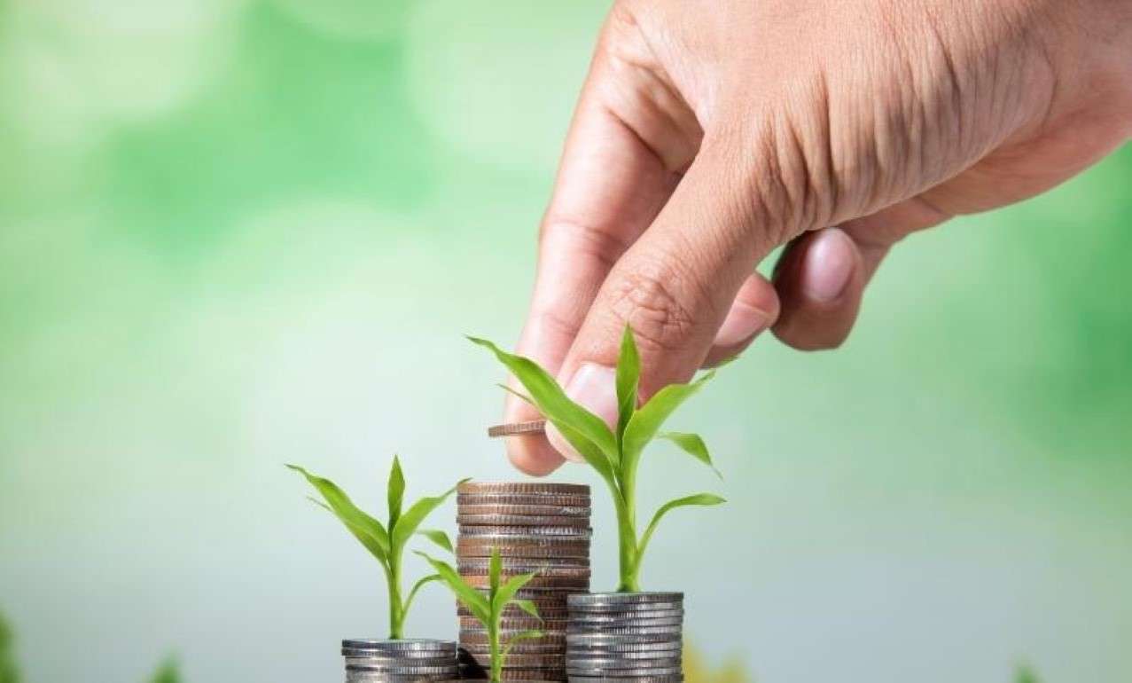 Фермеры Молдовы запросили 120 млн леев дополнительных субсидий от AIPA - agroexpert.md