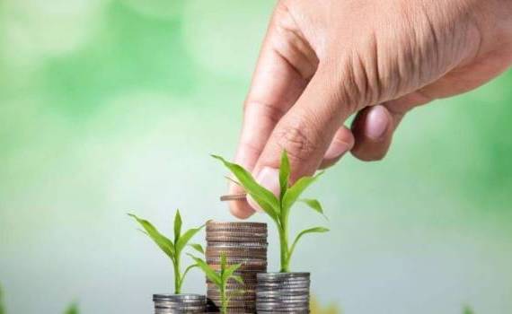 Фермеры Молдовы запросили 120 млн леев дополнительных субсидий от AIPA - agroexpert.md
