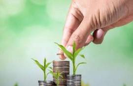 Фермеры Молдовы запросили 120 млн леев дополнительных субсидий от AIPA - agroexpert.md