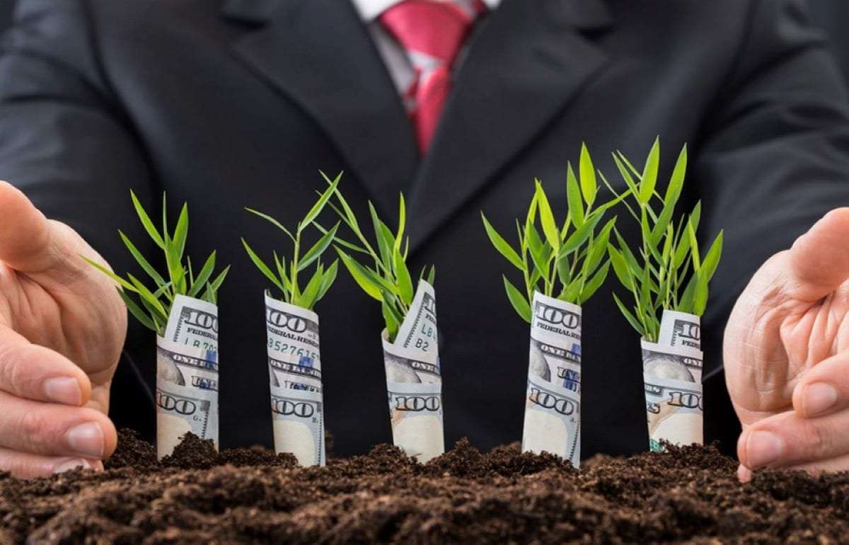 70 компаний получили финансирование по программе FCA - agroexpert.md