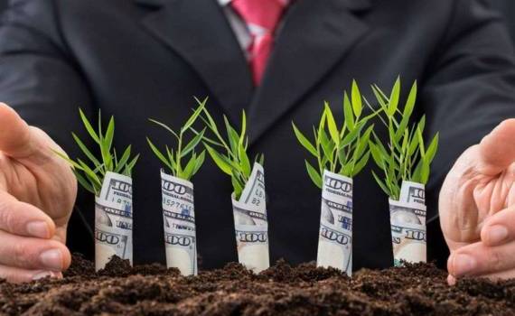 70 компаний получили финансирование по программе FCA - agroexpert.md