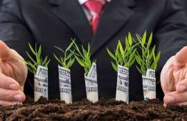 70 компаний получили финансирование по программе FCA - agroexpert.md