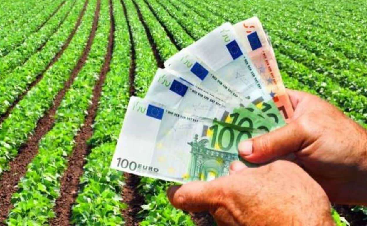 AIPA перечислила аграриям Молдовы 182 млн леев субсидий за май - agroexpert.md