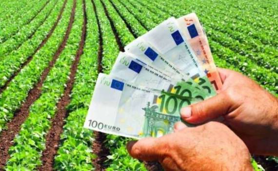 AIPA перечислила аграриям Молдовы 182 млн леев субсидий за май - agroexpert.md