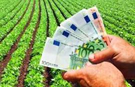 AIPA перечислила аграриям Молдовы 182 млн леев субсидий за май - agroexpert.md